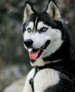 Alex Martinez avatar