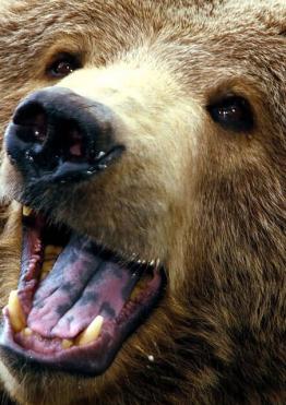 Jonas Richter profile photo