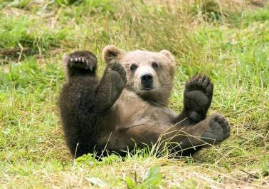 Maya Chen profile photo