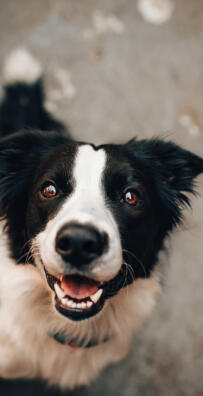 Maya Chen profile photo