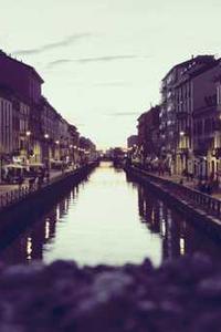 Maya Chen profile photo