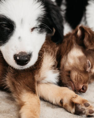 Jonas Richter profile photo