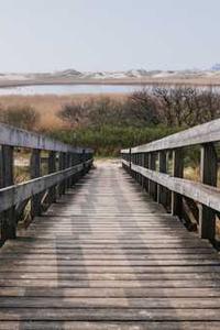 Jonas Richter profile photo