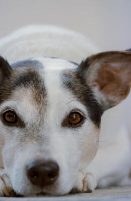 Leo Anders profile photo