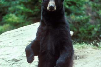 Alex Martinez avatar