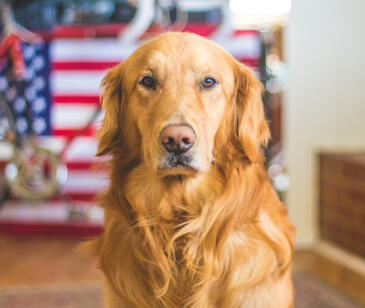 Maya Chen profile photo